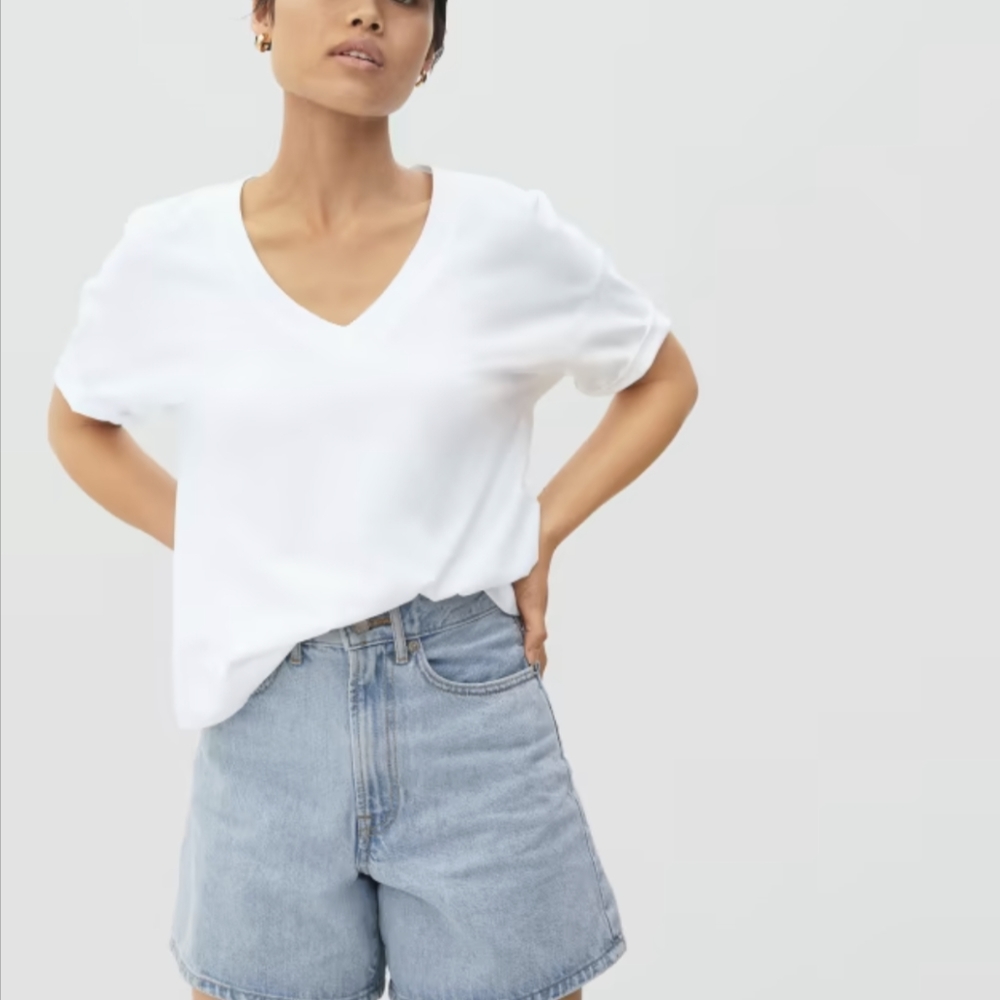 Everlane Organic Cotton Slouchy V Neck Tee